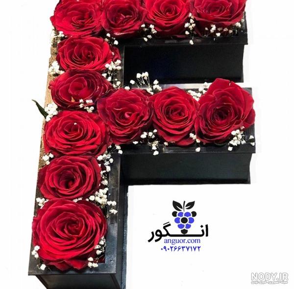 عکس گل رز ف