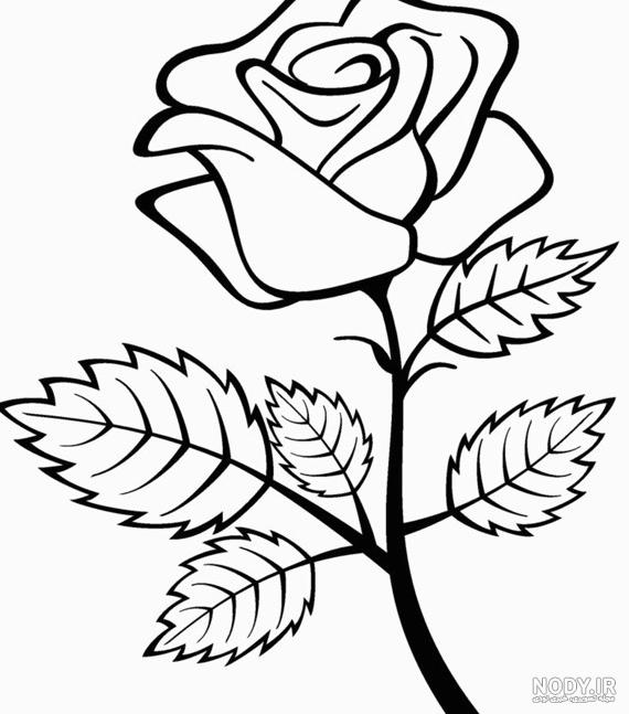 عکس گل لاله قرمز برای نقاشی
