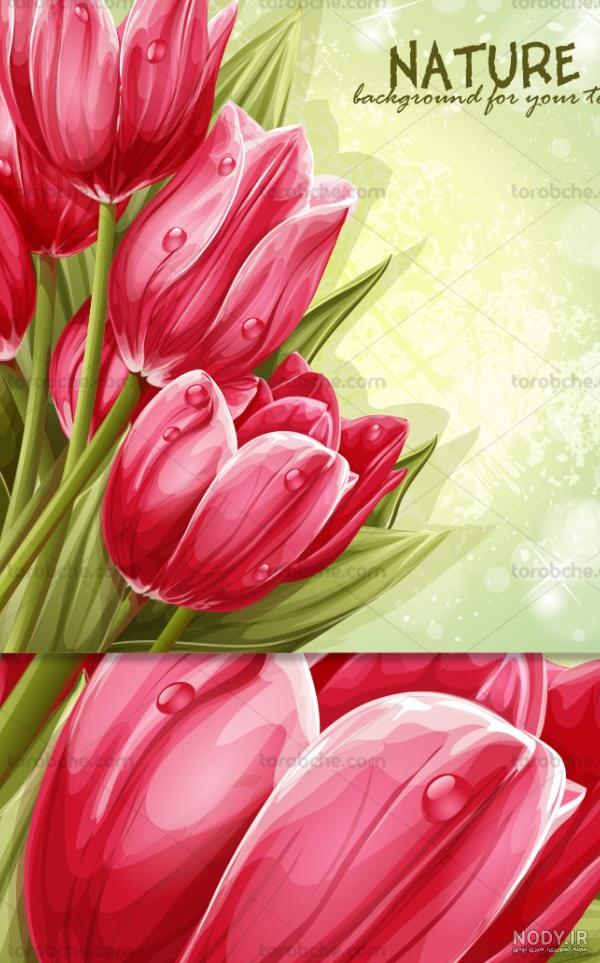 عکس گل لاله نقاشی