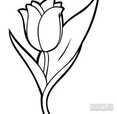 مجموعه عکس گل لاله به صورت نقاشی (جدید)