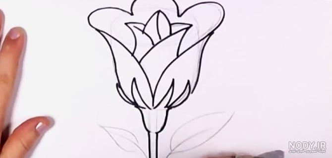 مجموعه عکس گل لاله قرمز برای نقاشی (جدید)
