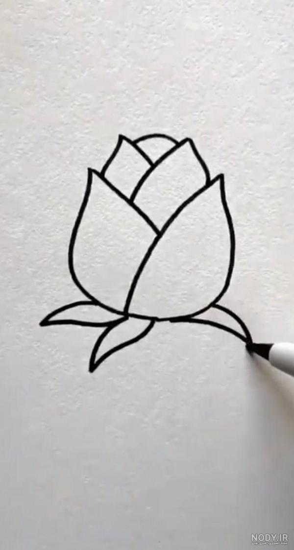 نقاشی گل لاله - عکس نودی
