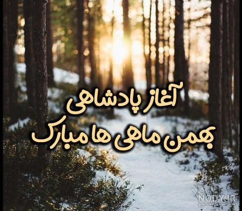 پروفایل بهمن ماهی | 90 عکس تولد بهمن ماهی برای استوری و پروفایل ... پروفایل بهمن ماهی | 90 عکس تولد بهمن ماهی برای استوری و پروفایل ...