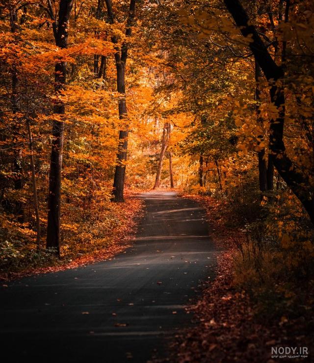 عکس پروفایل کلبه آرامش