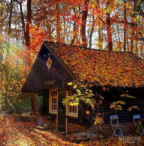 عکس پروفایل کلبه آرامش