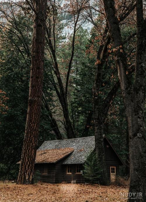 عکس پروفایل کلبه آرامش