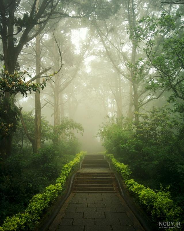 عکس پروفایل کلبه آرامش