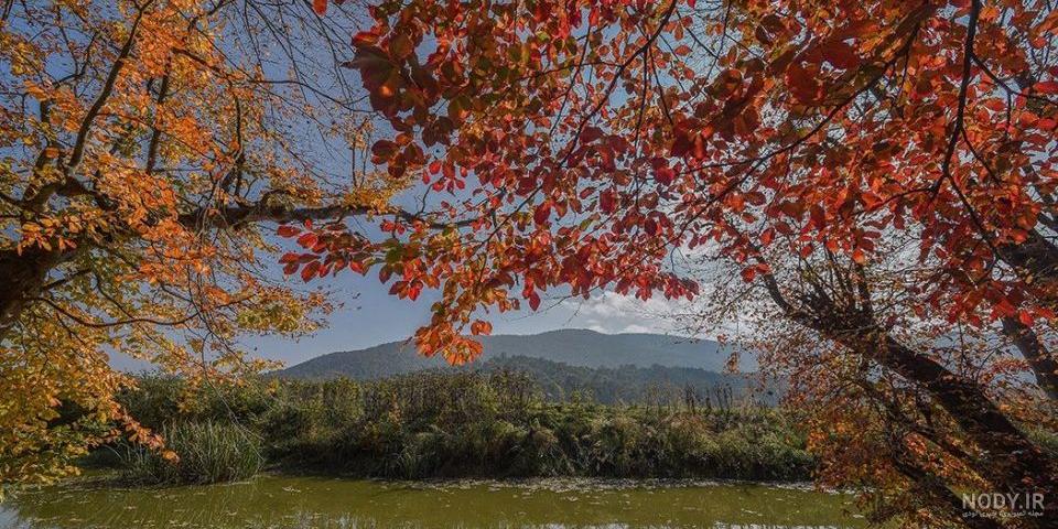 عکس پروفایل کلبه آرامش