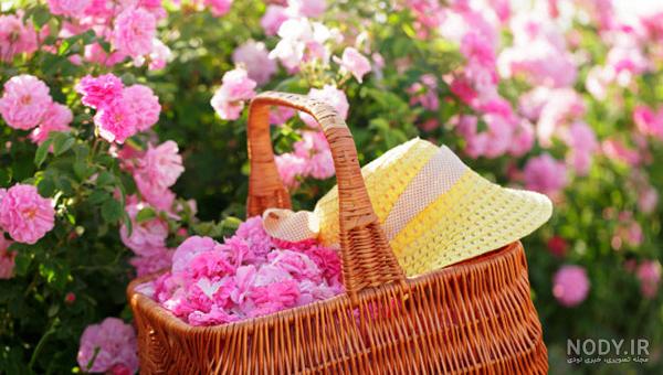 ایده های جالب عکس آتلیه ماهگرد نوزاد 1 تا 12 ماهه ایده های جالب عکس آتلیه ماهگرد نوزاد 1 تا 12 ماهه