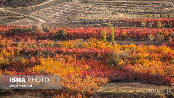 تصاویر دیدنی از طبیعت زیبای قزوین در پاییز تصاویر دیدنی از طبیعت زیبای قزوین در پاییز