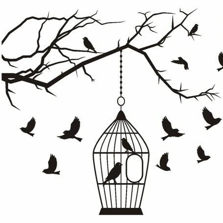 خرید عقاب تعادلی + قیمت و مشخصات - کیان سما