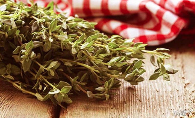 خرید و قیمت پودر آویشن هاتی‌کارا بسته 20 گرمی | ترب