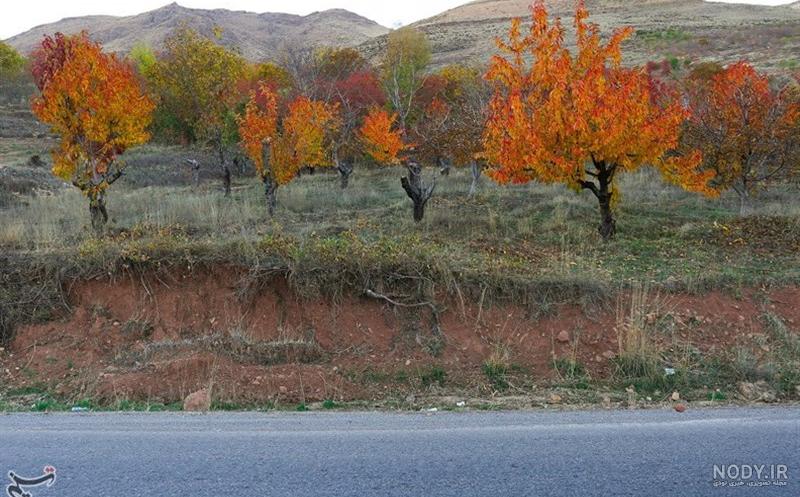 خزان طبیعت در قزوین+تصاویر - تسنیم خزان طبیعت در قزوین+تصاویر - تسنیم