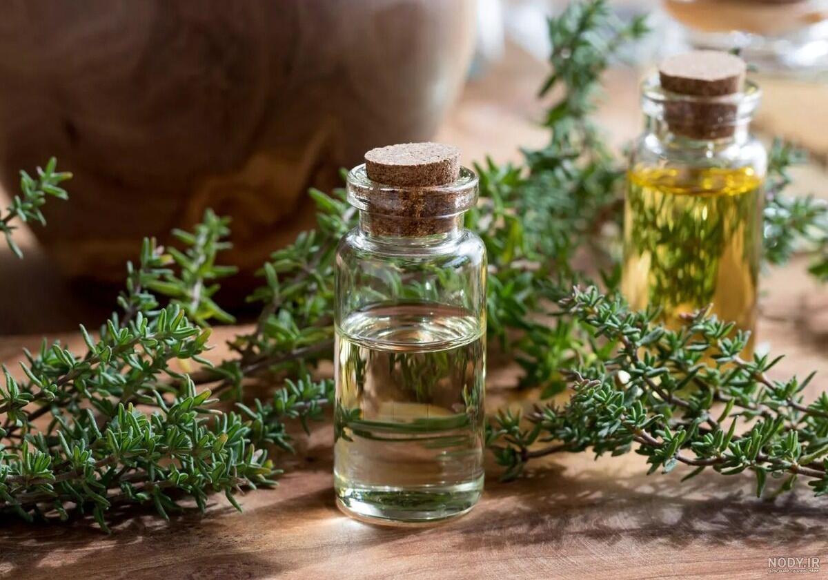 عکس آویشن بسته بندی