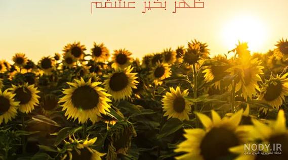 عکس سلام ظهر بخیر کودکانه عکس سلام ظهر بخیر کودکانه