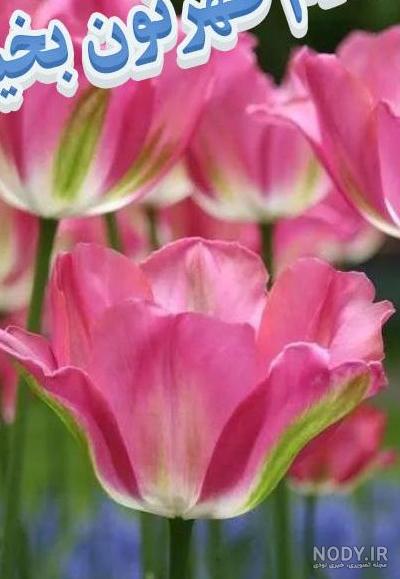 عکس نوشته سلام ظهر بخیر عکس نوشته سلام ظهر بخیر
