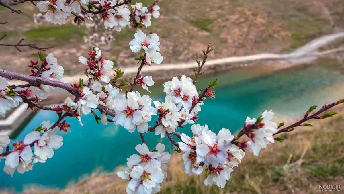 عکسهای طبیعت زیبا دانلود – سایت عکس عکسهای طبیعت زیبا دانلود – سایت عکس