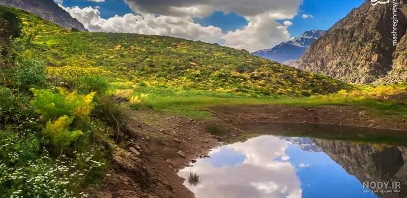 مشرق نیوز - تصویری هوایی از مسجد جامع قزوین مشرق نیوز - تصویری هوایی از مسجد جامع قزوین
