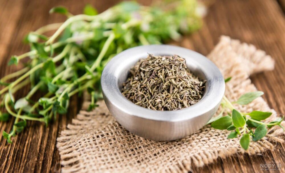 همه چیز درباره اسانس روغنی آویشن و خواص بی نظیر آن بر رشد مو