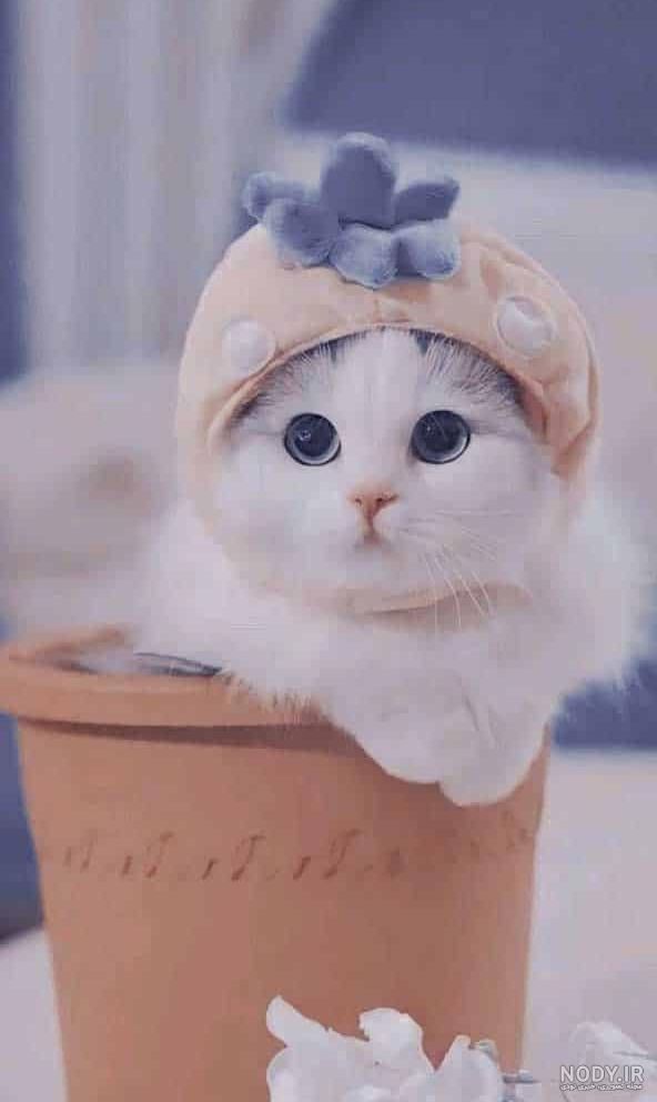  عکس پس زمینه تبلت سامسونگ دخترانه