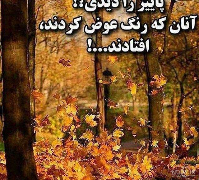 60 عکس پروفایل تیکه دار خفن و سنگین و جدید طعنه دار⭐️ 60 عکس پروفایل تیکه دار خفن و سنگین و جدید طعنه دار⭐️