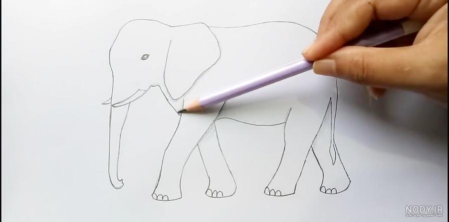 آموزش طراحی فیل |طراحی فیل ساده |elephant drawing آموزش طراحی فیل |طراحی فیل ساده |elephant drawing
