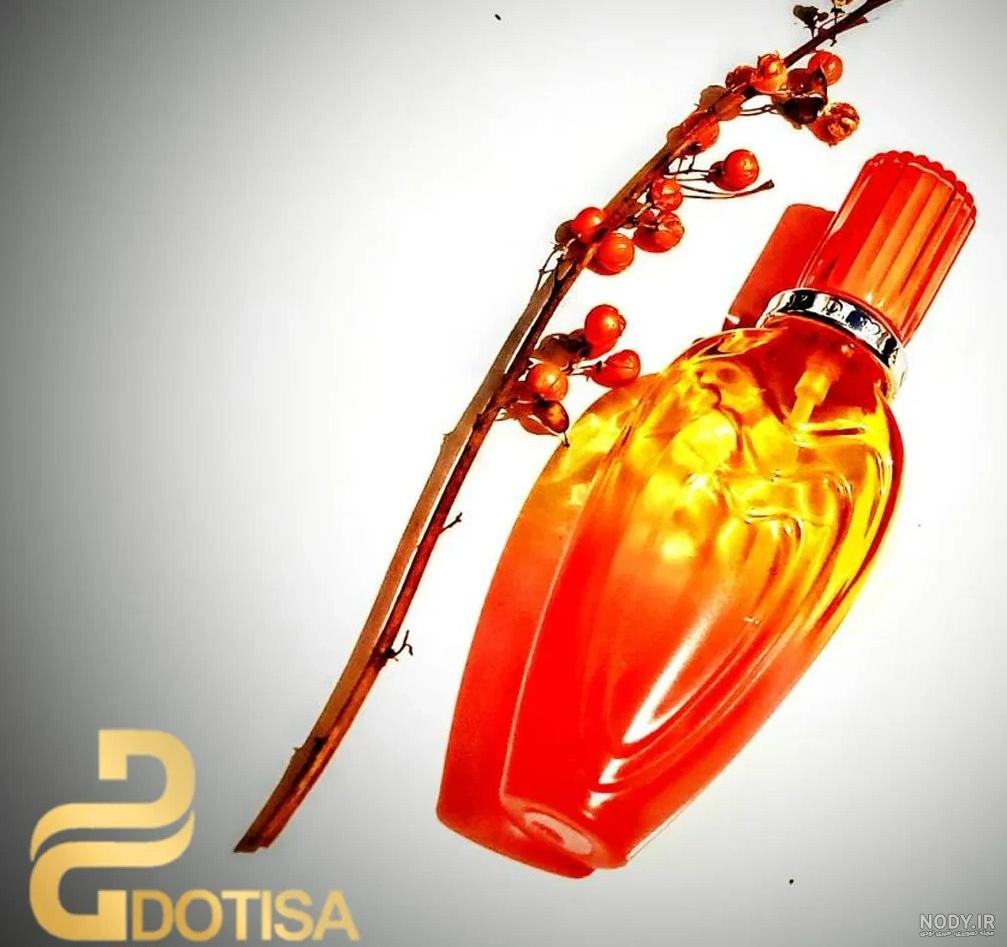 ادکلن قدیمی مردانه، خرید انواع عطر نوستالژی مردانه + قیمت - ریحا