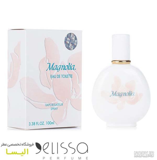 ادکلن قدیمی مردانه، خرید انواع عطر نوستالژی مردانه + قیمت - ریحا