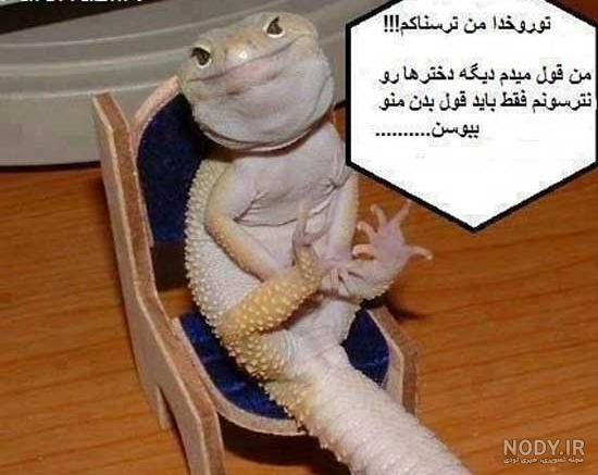 اینستاگرام فارسی