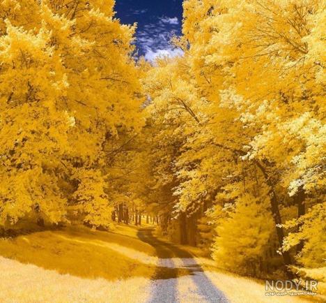 بایگانی‌های عکس - صفحه 609 از 2677 - کامل (مولیزی)