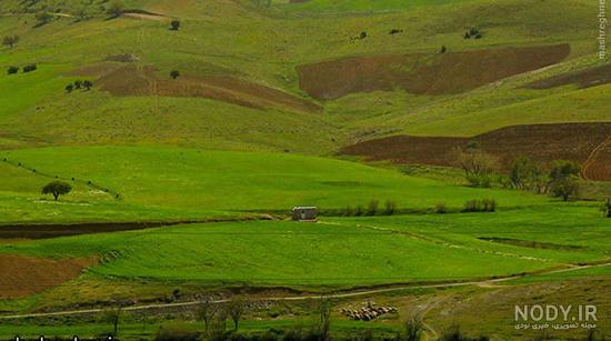 طبیعت محشر کردستان (عکس) طبیعت محشر کردستان (عکس)