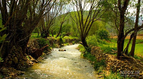 طبیعت محشر کردستان (عکس) طبیعت محشر کردستان (عکس)