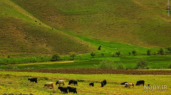 طبیعت محشر کردستان (عکس) طبیعت محشر کردستان (عکس)