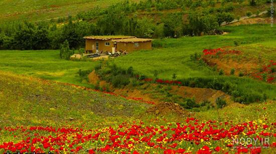 طبیعت محشر کردستان (عکس) طبیعت محشر کردستان (عکس)