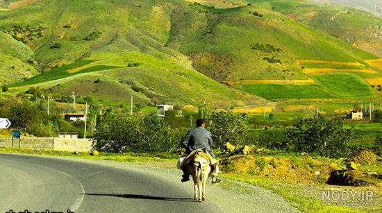 طبیعت محشر کردستان (عکس) طبیعت محشر کردستان (عکس)