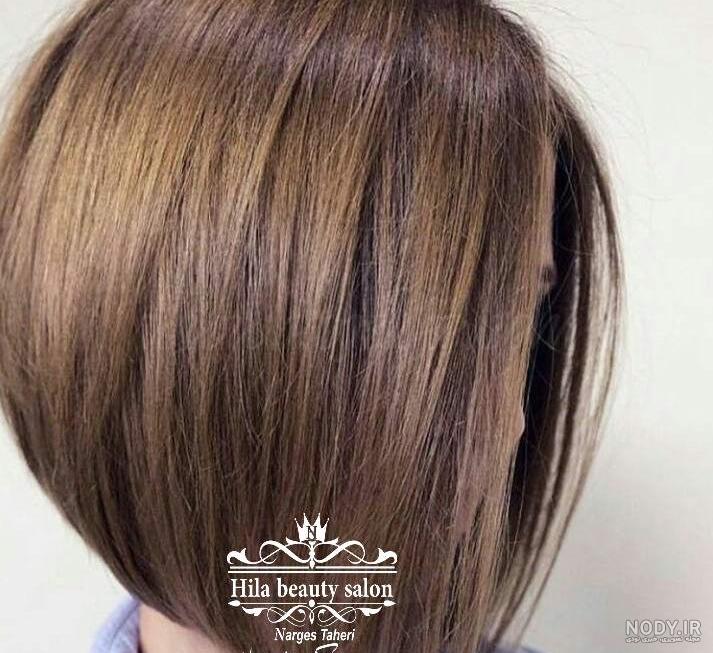 عکس رنگ مو لایت
