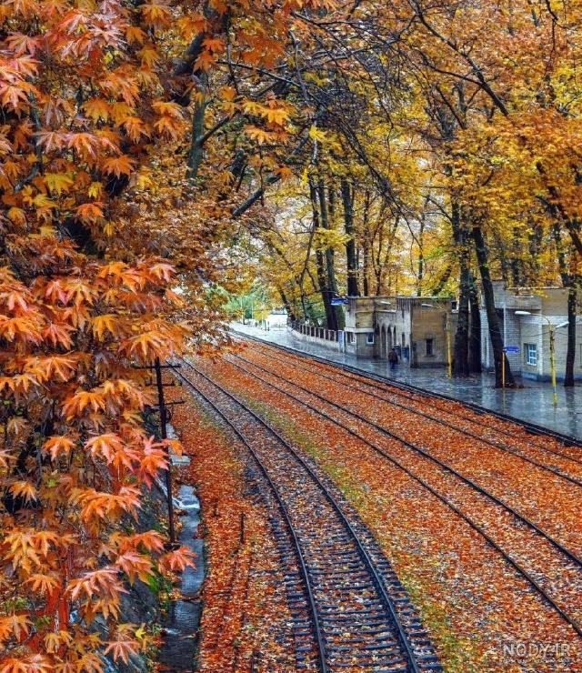 عکس روز: از آبشار بیشه خرم آباد تا حال و هوای کریسمس در جهان عکس روز: از آبشار بیشه خرم آباد تا حال و هوای کریسمس در جهان