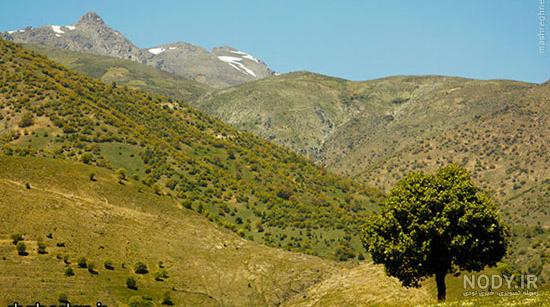عکس زیبا از طبیعت کردستان - عکس نودی عکس زیبا از طبیعت کردستان - عکس نودی