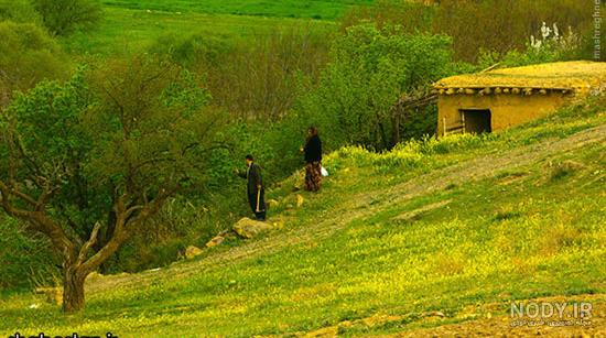 عکس: طبیعت محشر کردستان عکس: طبیعت محشر کردستان