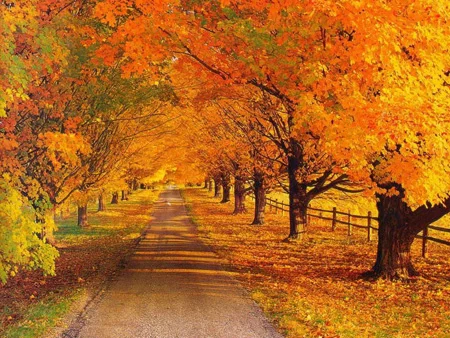 عکس نوشته های زیبا در مورد پاییز عکس نوشته های زیبا در مورد پاییز