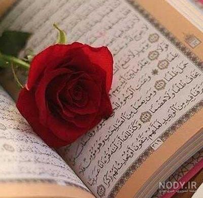 عکس پروفایل گل لای قران
