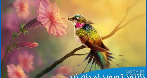 عکس تصویر زمینه گلهای زرد عکس تصویر زمینه گلهای زرد