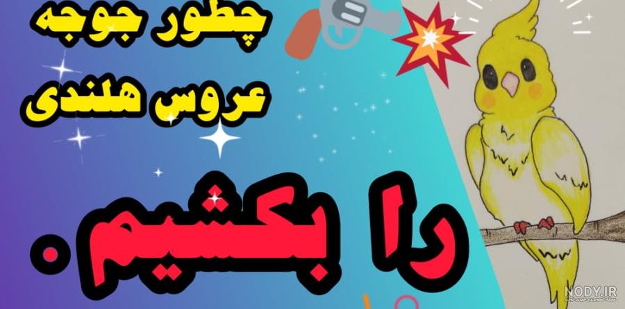 آموزش نقاشی کودکان - کشیدن و رنگ آمیزی طوطی آموزش نقاشی کودکان - کشیدن و رنگ آمیزی طوطی