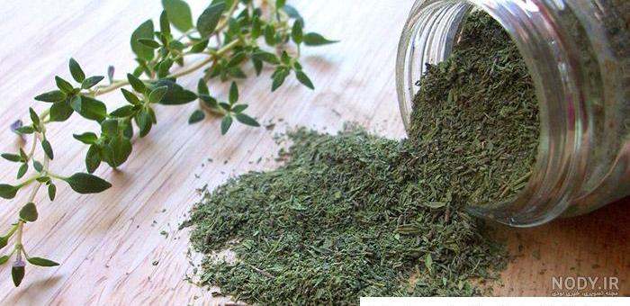 آویشن = Wild thyme آویشن = Wild thyme