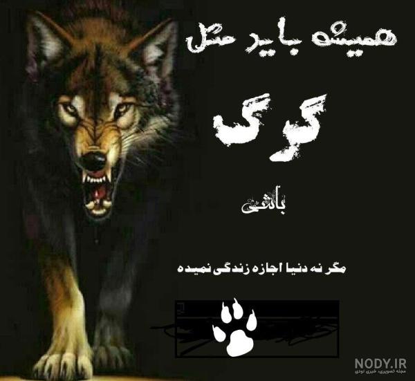 تصاویر پروفایل گرگ تنها - عکس نودی تصاویر پروفایل گرگ تنها - عکس نودی