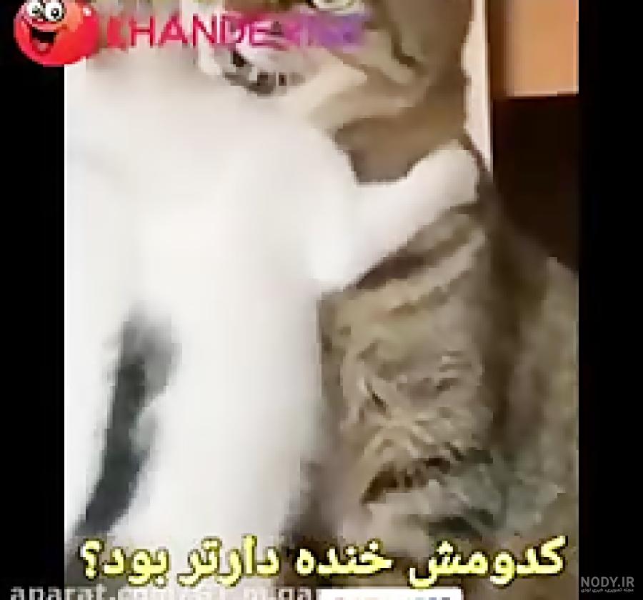 توانا: آموزشكده جامعه مدنى | ‌ قاصدان مرگ در کنار هم جمهوری اسلامی ...