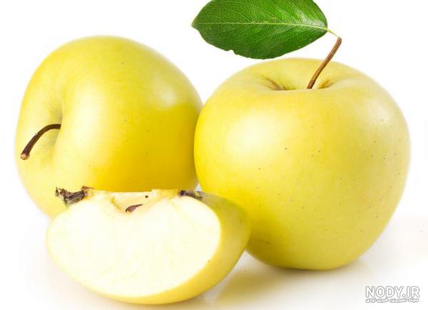 خرید و قیمت وکتور سیب | ترب