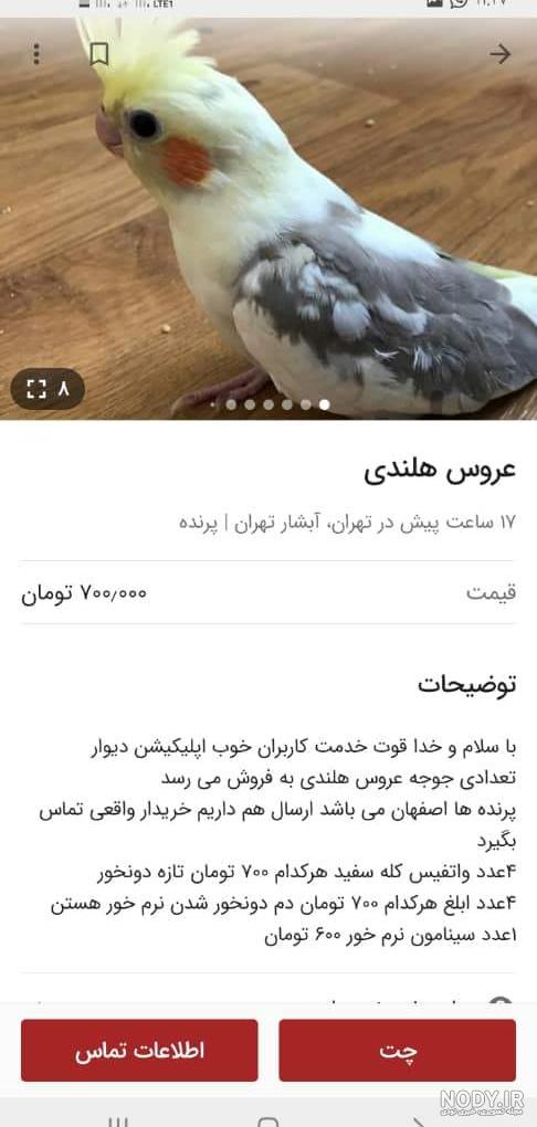 صدای عروس هلندی ماده مست mp3 • ️ ملوپست