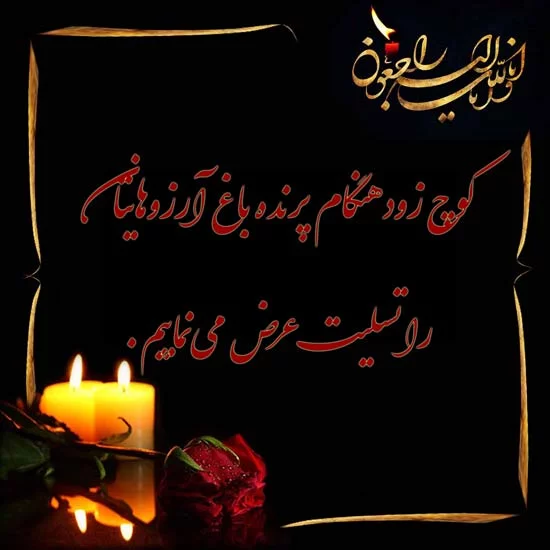 طرح لایه باز عکس مرحوم کد فایل 6776222 | طرح دات آی آر