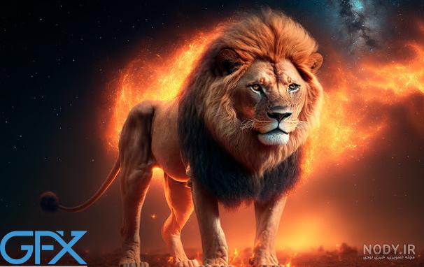 عکس های زیبا و دیدنی از شیر سلطان جنگل